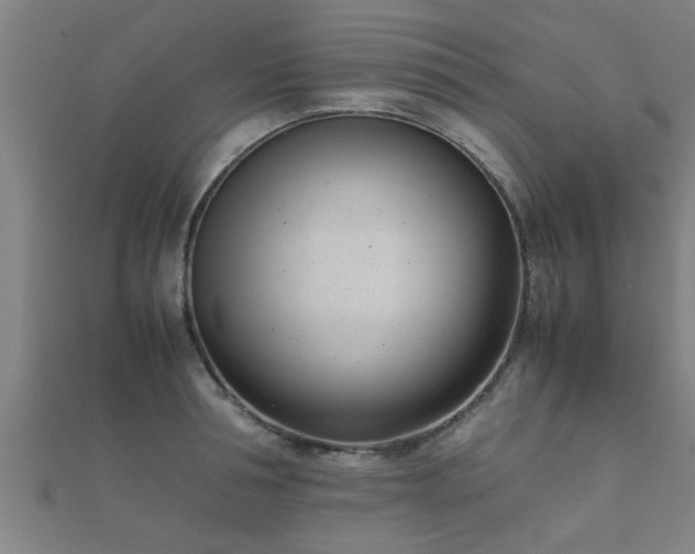 X0000112050994200908111346