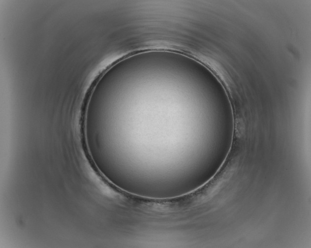 X0000112050995200908111346