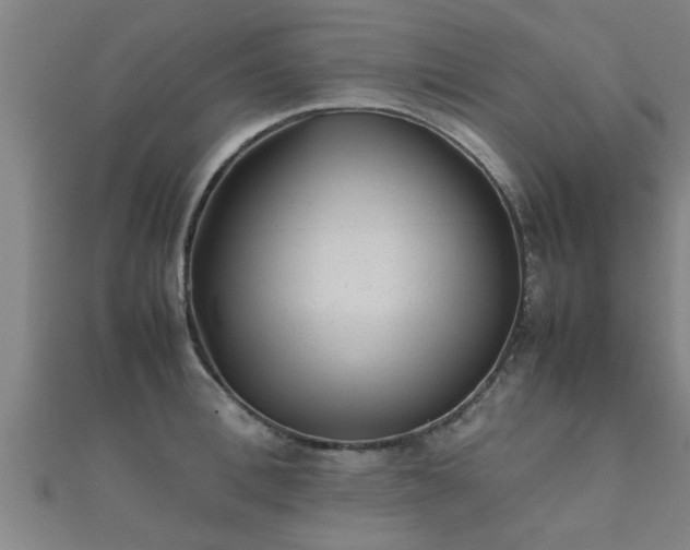 X0000112050996200908111346