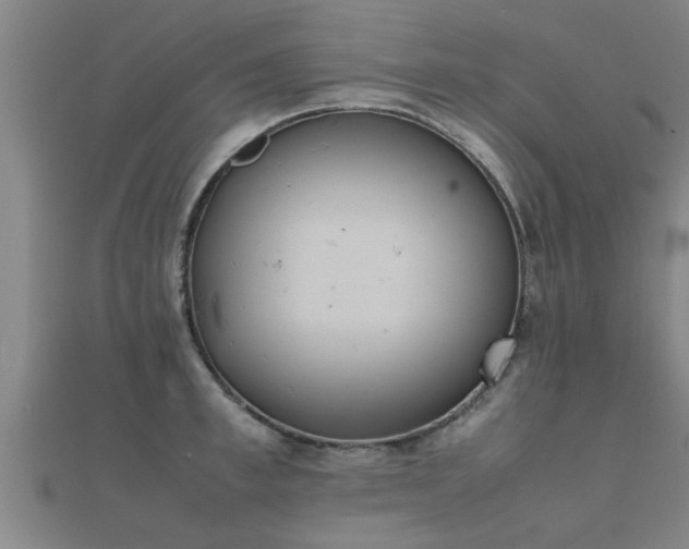 X0000112050997200908111346