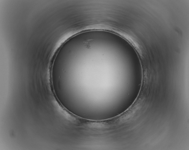 X0000112050998200908111346