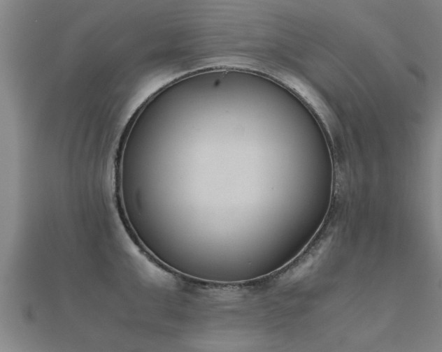 X0000112050999200908111346