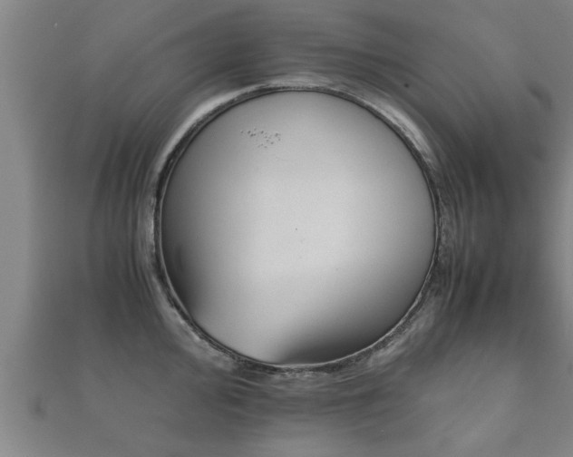 X0000112051000200908111346