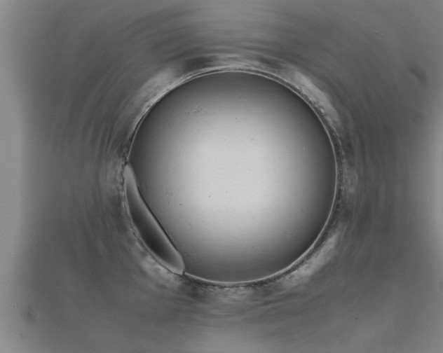 X0000112051001200908111346