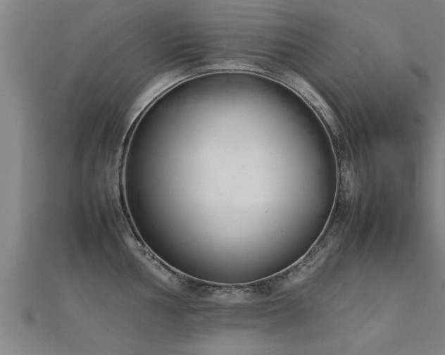 X0000112051002200908111346