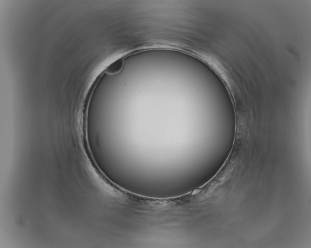 X0000112051003200908111346