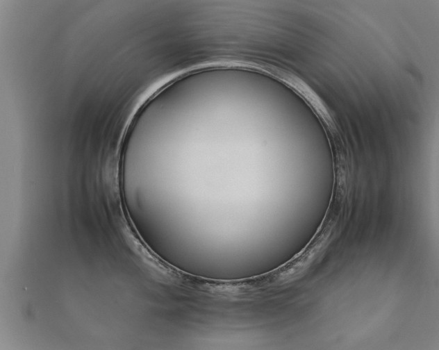 X0000112051004200908111345