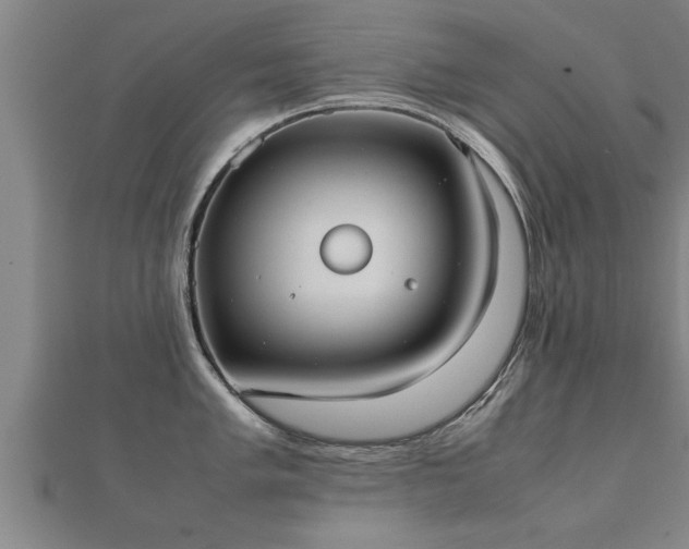 X0000112051005200908111345