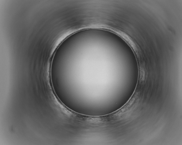 X0000112051006200908111345