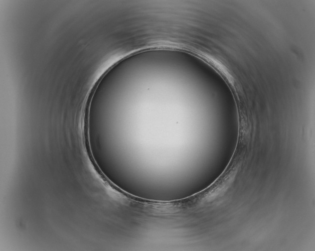 X0000112051007200908111345