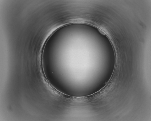 X0000112051008200908111345