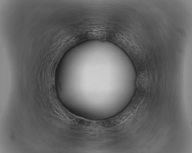 X0000112051009200908111345