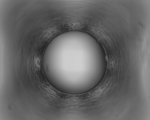 X0000112051010200908111345