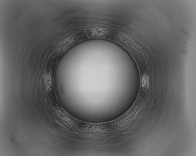 X0000112051011200908111345