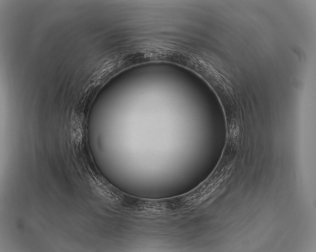 X0000112051012200908111345