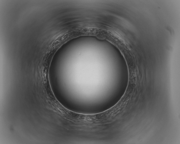 X0000112051013200908111345