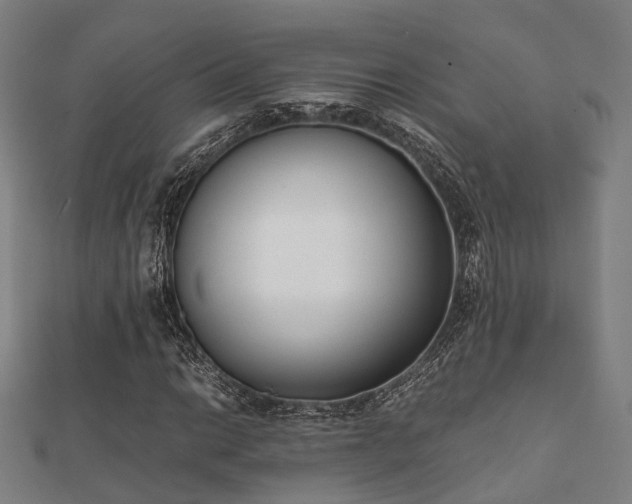 X0000112051014200908111345