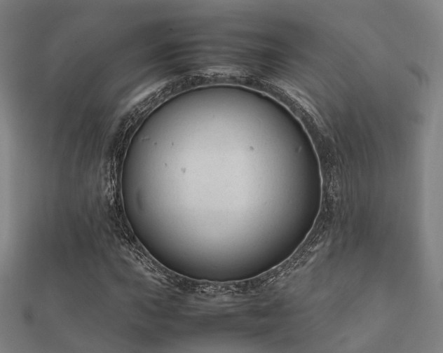 X0000112051015200908111345