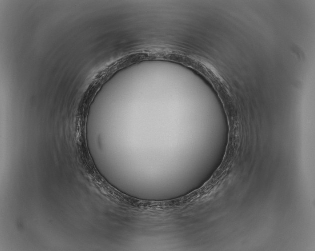 X0000112051016200908111345