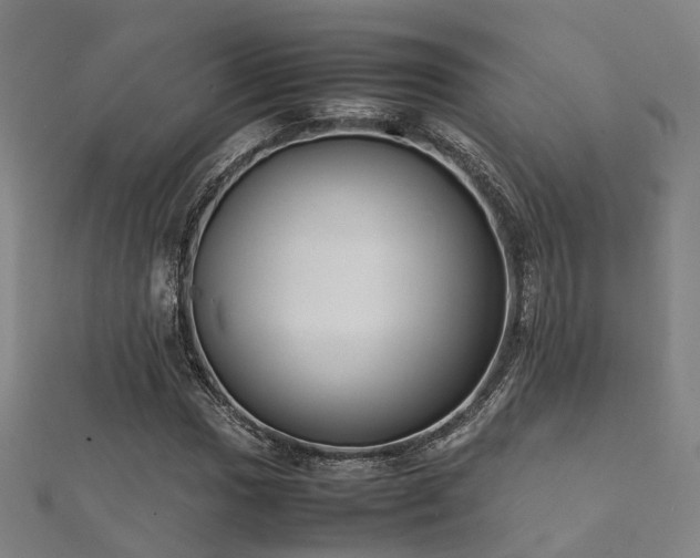 X0000112051017200908111345