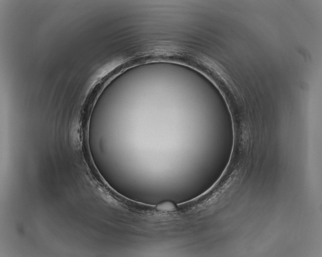 X0000112051018200908111345