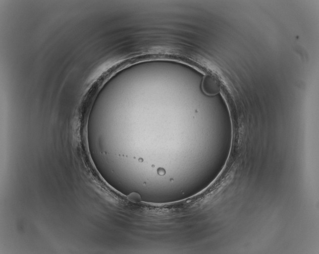 X0000112051019200908111345