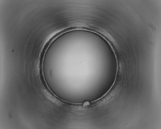 X0000112051020200908111345