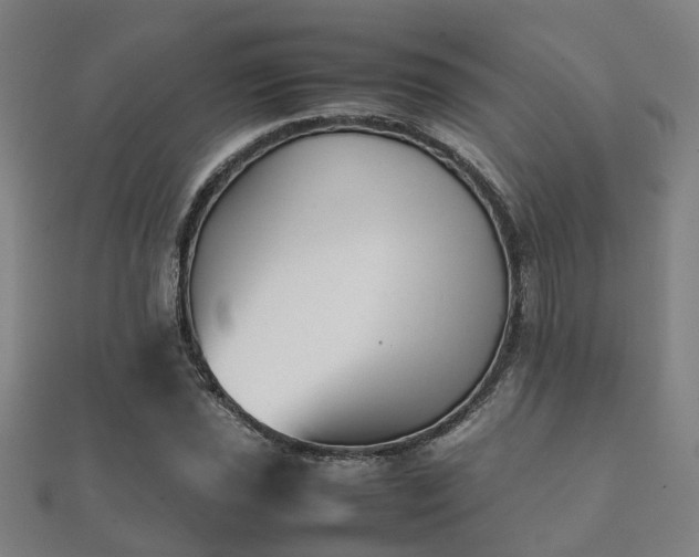 X0000112051021200908111345