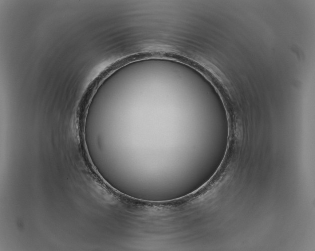 X0000112051022200908111345