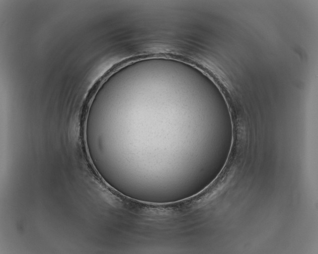 X0000112051023200908111345