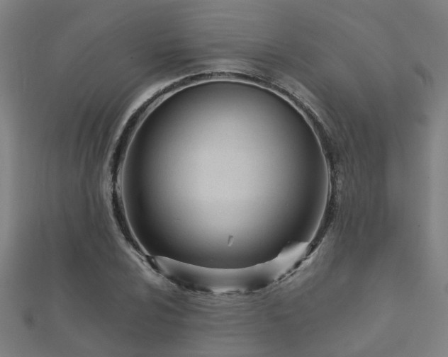 X0000112051024200908111345