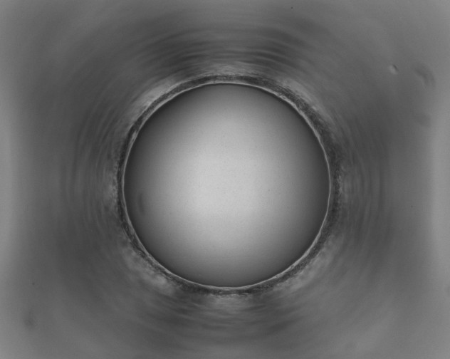 X0000112051025200908111345