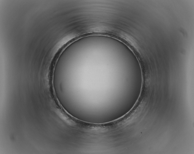 X0000112051026200908111345