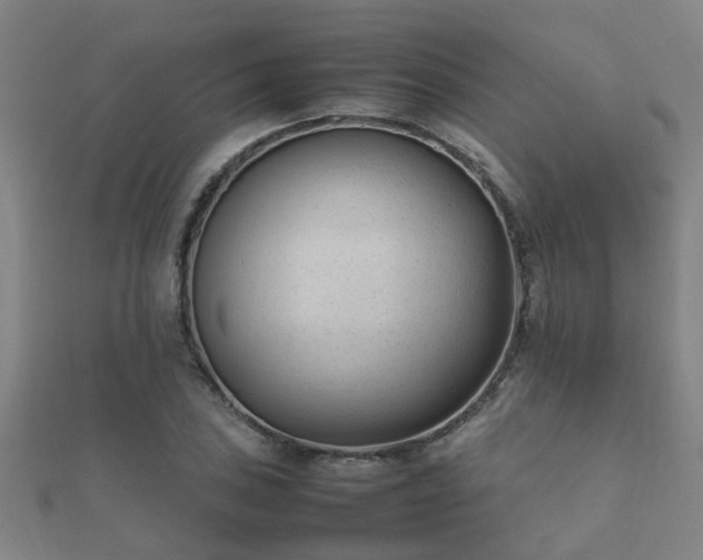 X0000112051027200908111345