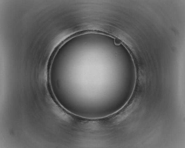 X0000112051028200908111345