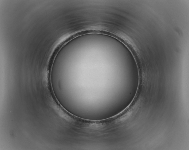 X0000112051029200908111345