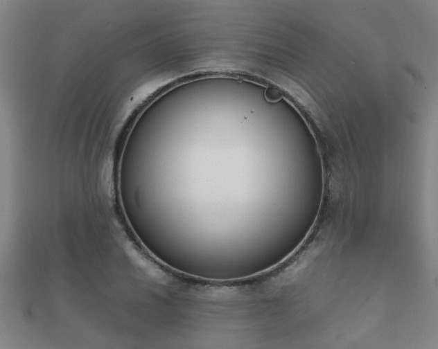 X0000112051030200908111345