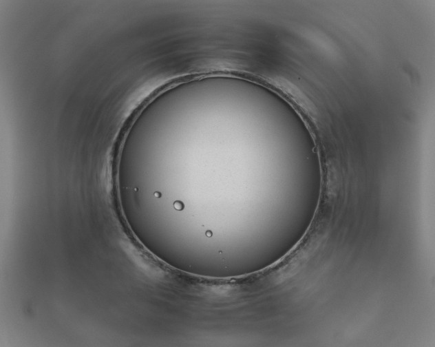 X0000112051031200908111345