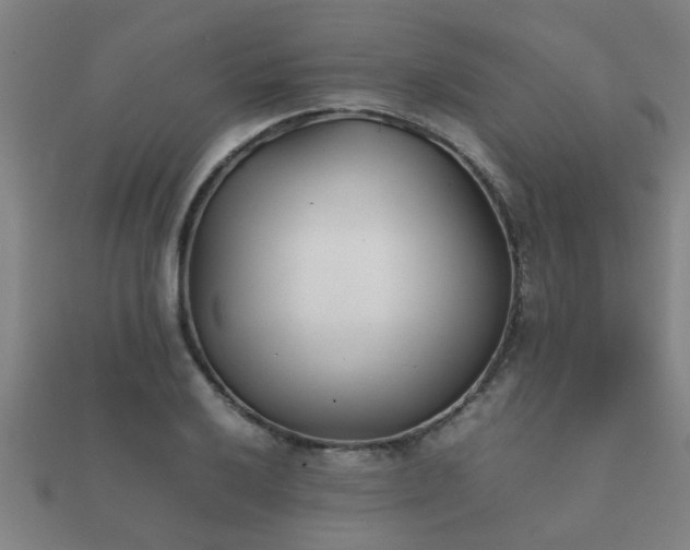 X0000112051032200908111345