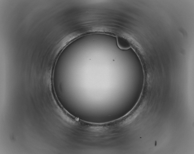 X0000112051033200908111345