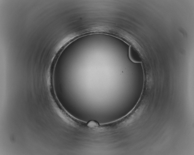 X0000112051034200908111345