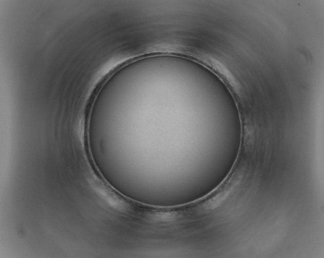 X0000112051035200908111345