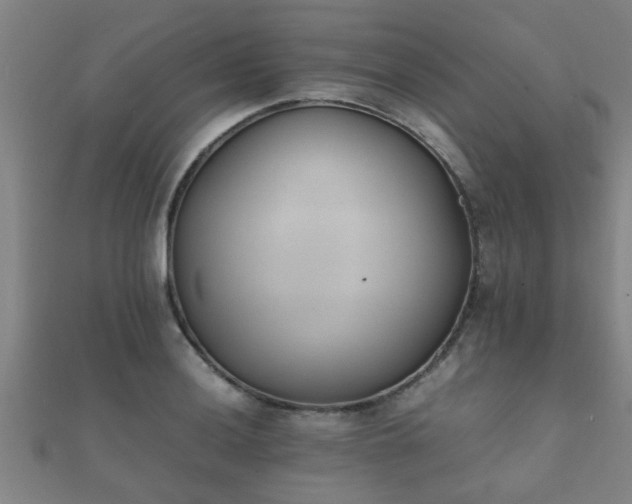 X0000112051036200908111345