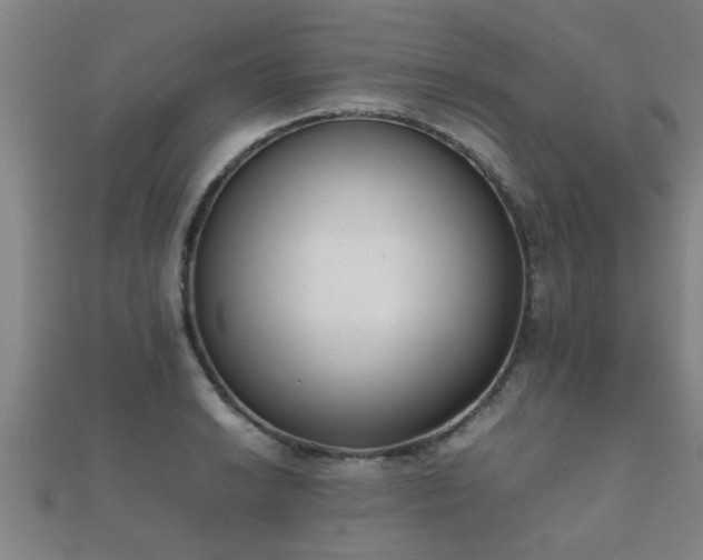 X0000112051038200908111345