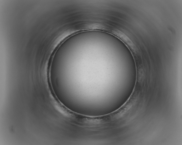 X0000112051039200908111345