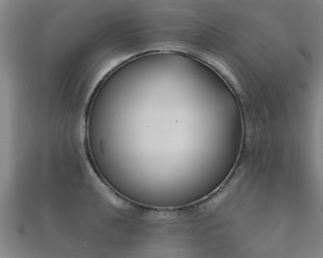 X0000112051040200908111345