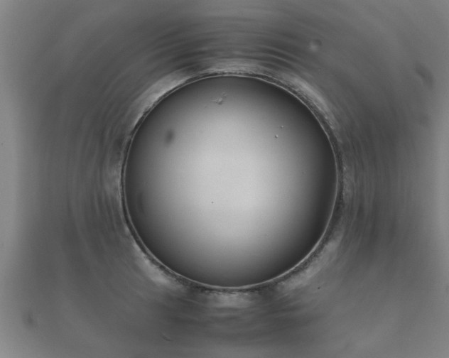 X0000112051041200908111345