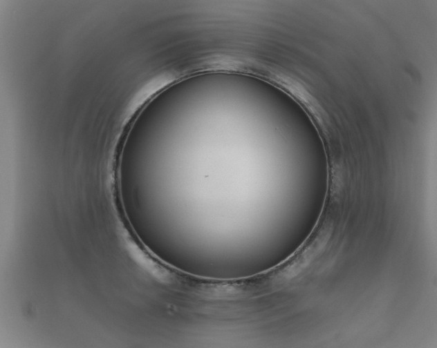 X0000112051042200908111345