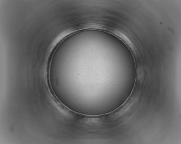 X0000112051043200908111345