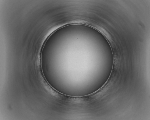 X0000112051044200908111345